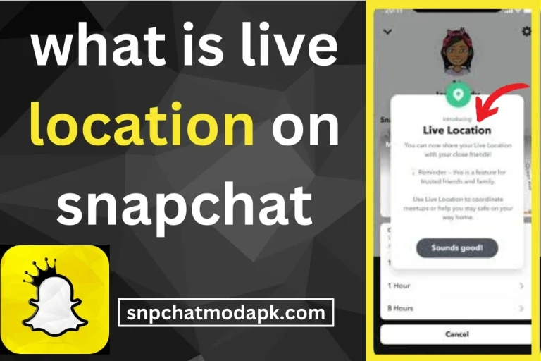 what is live location on snapchat